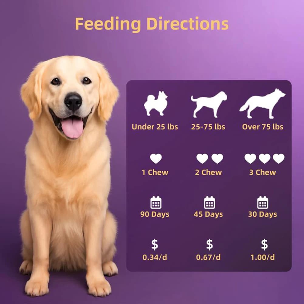 Compléments Probiotiques pour Chiens – 90 Comprimés – Enzymes Digestives pour la Santé de la Flore Intestinale