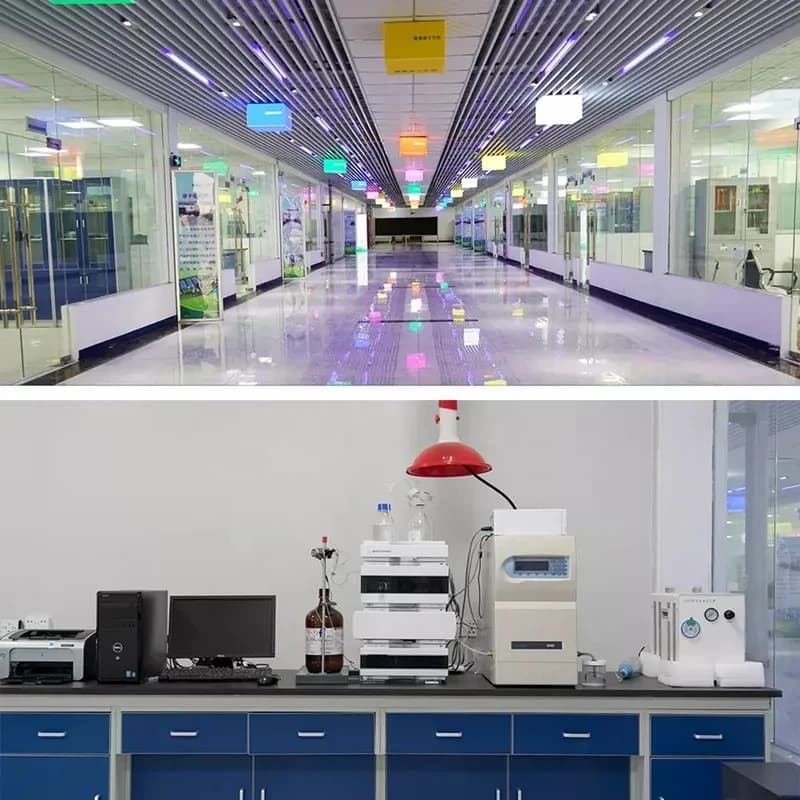 Poudre de camphre naturelle, médecine traditionnelle chinoise, utilisée pour les moisissures, les mites, les insectes verts et Brindisi