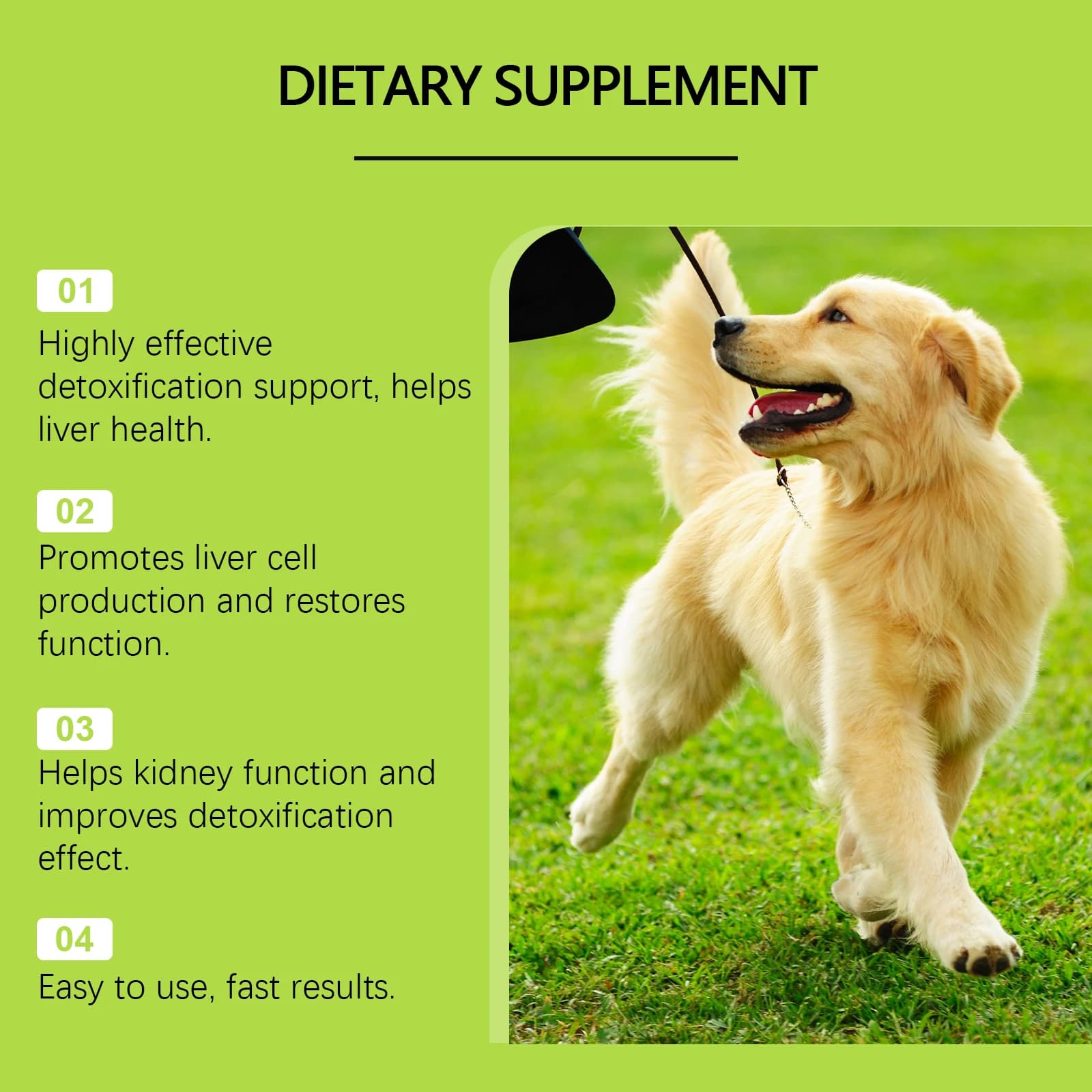 Gouttes de soin pour améliorer le métabolisme des cellules du foie, 60ml, pour chiens, augmente la nutrition, revitalise l'énergie de votre chien, supplément complet