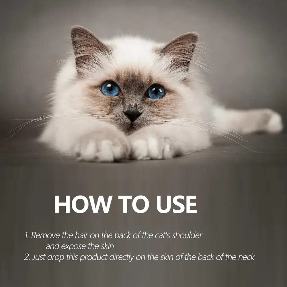 Gouttes anti-puces pour animaux de compagnie, traitement de la teigne, anti-insectes, anti-puces, anti-tiques, anti-insectes, anti-tiques, anti-tiques, anti-insectes, convient pour les chats, les sour
