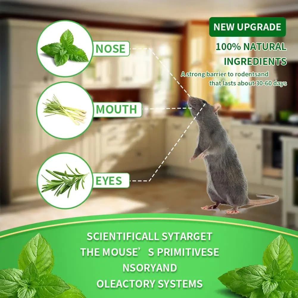 Répulsif Anti Rat et souris