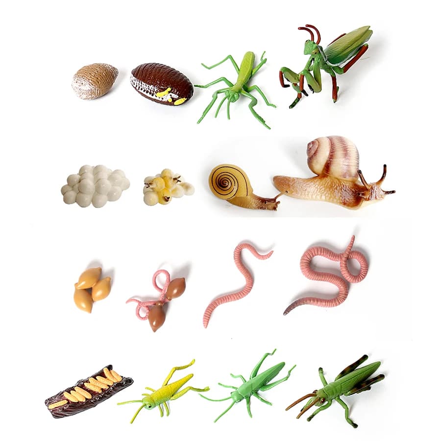 Figurines de créatures de la mer du cambodge en plastique, modèle Miniature, jouet, Figurines préhistoriques, Baculite, opabilia, Nautilus, Trilobita, Eurypterida