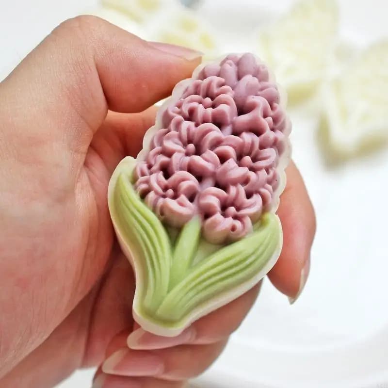 Ensemble presse à pâtisserie avec 2 assiettes à motifs interchangeables