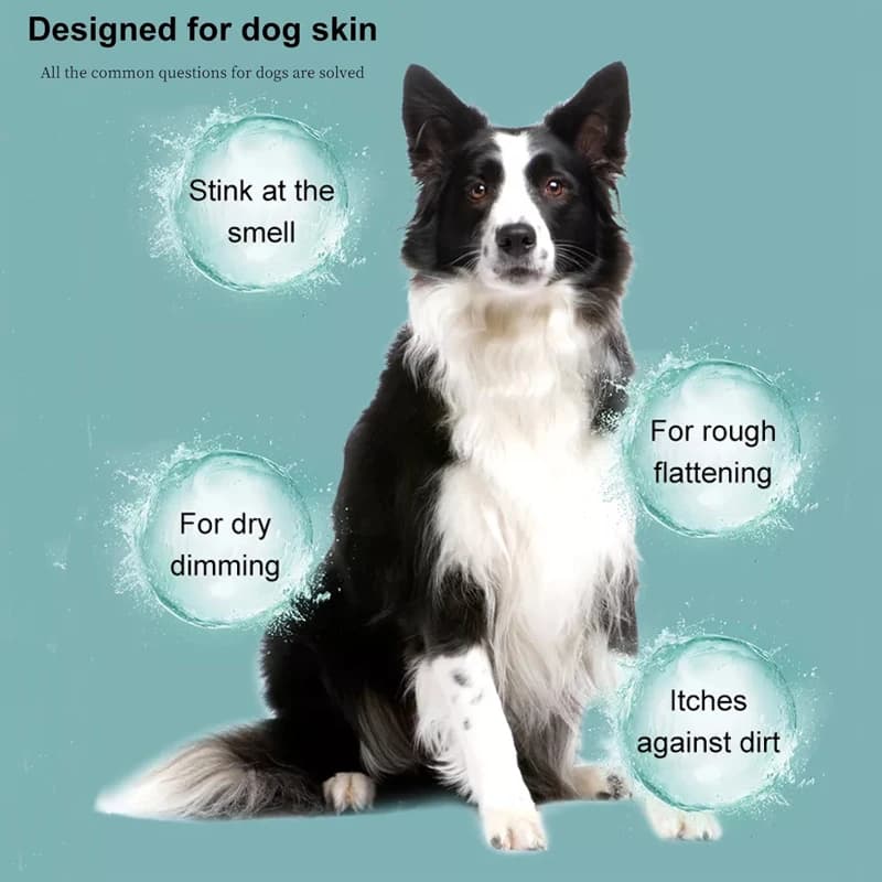 Shampoing pour animaux de compagnie pour chiens, peau sèche, soulagement des démangeaisons, bain Anti-puces, douche pour animaux de compagnie, Anti-touches, soins capillaires pour chats, Gel douche ne
