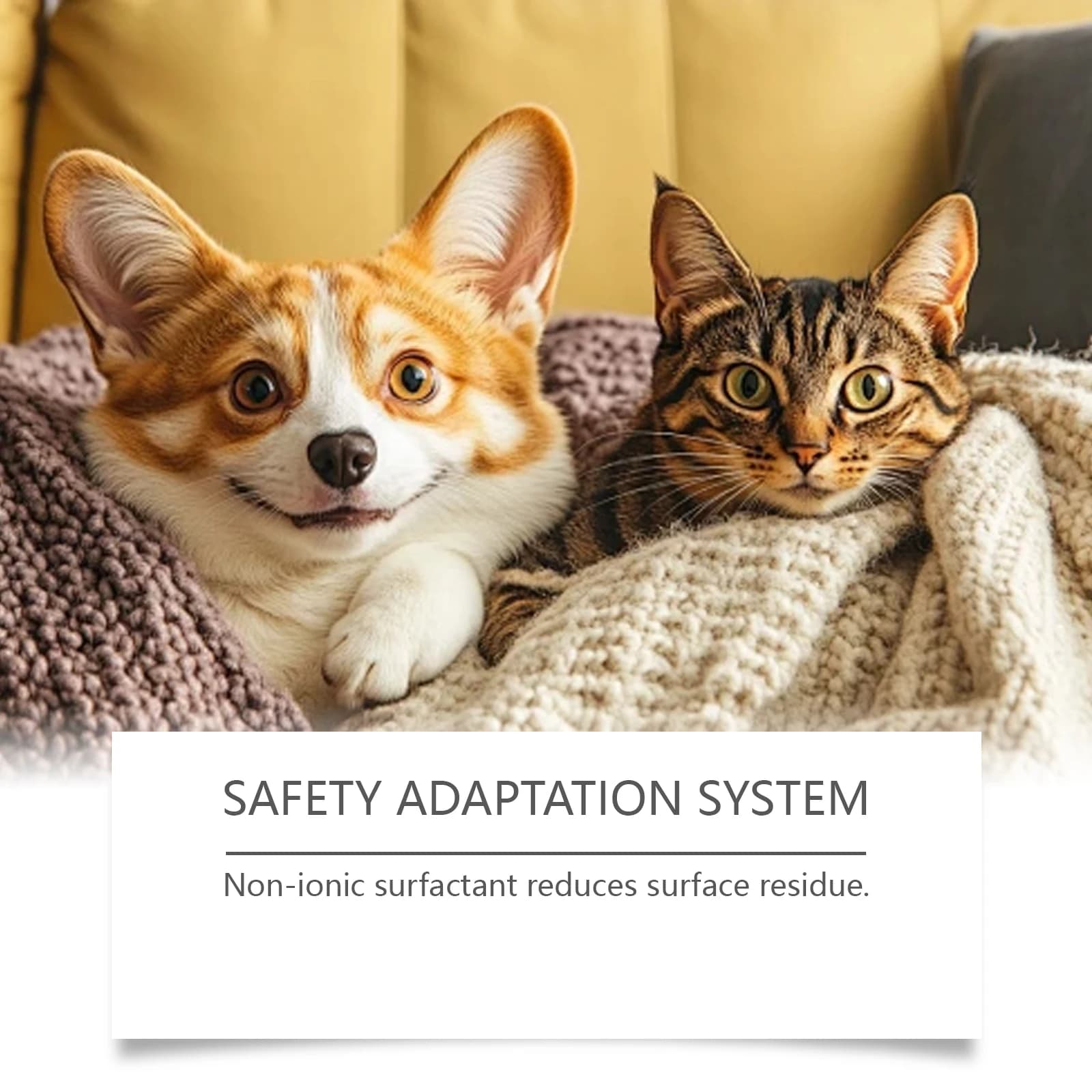 Spray éliminateur d'odeurs d'animaux de compagnie, pour accidents d'urine de chien et de chat sur tapis, brume désodorisante naturelle sans parfum synthétique