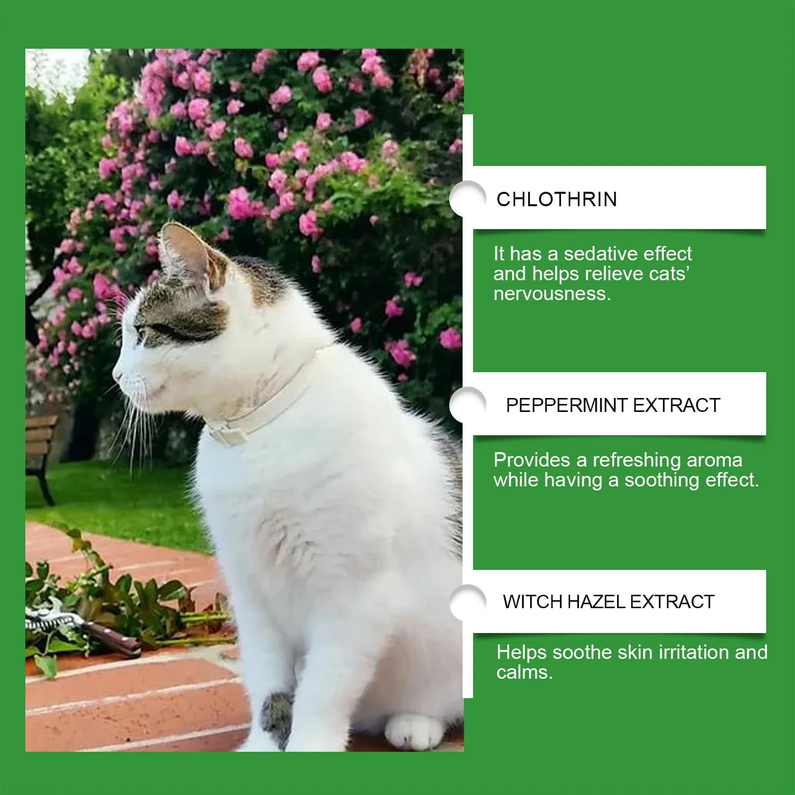 Diffuseur apaisant pour chat : relaxant au phéromone enfichable pour chats – Réduit l'anxiété et prévient l'onglet, avec liquide apaisant inclus