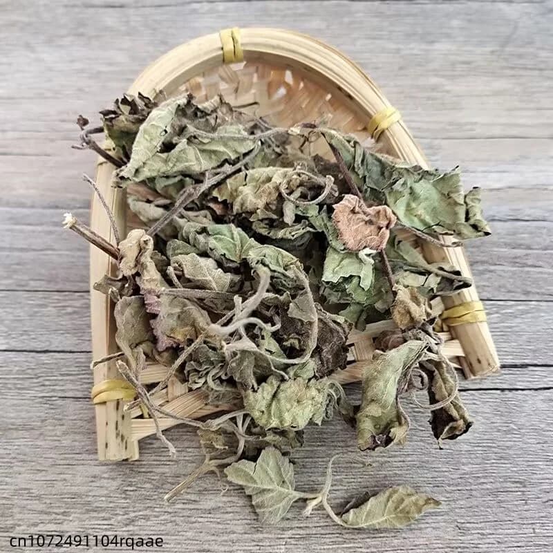 Feuilles de Pogostemon Cablin naturelles séchées (Patchouli/Perilla) pour la fabrication de savons, bougies, encens, parfums domestiques, sachets et garnitures de coussins