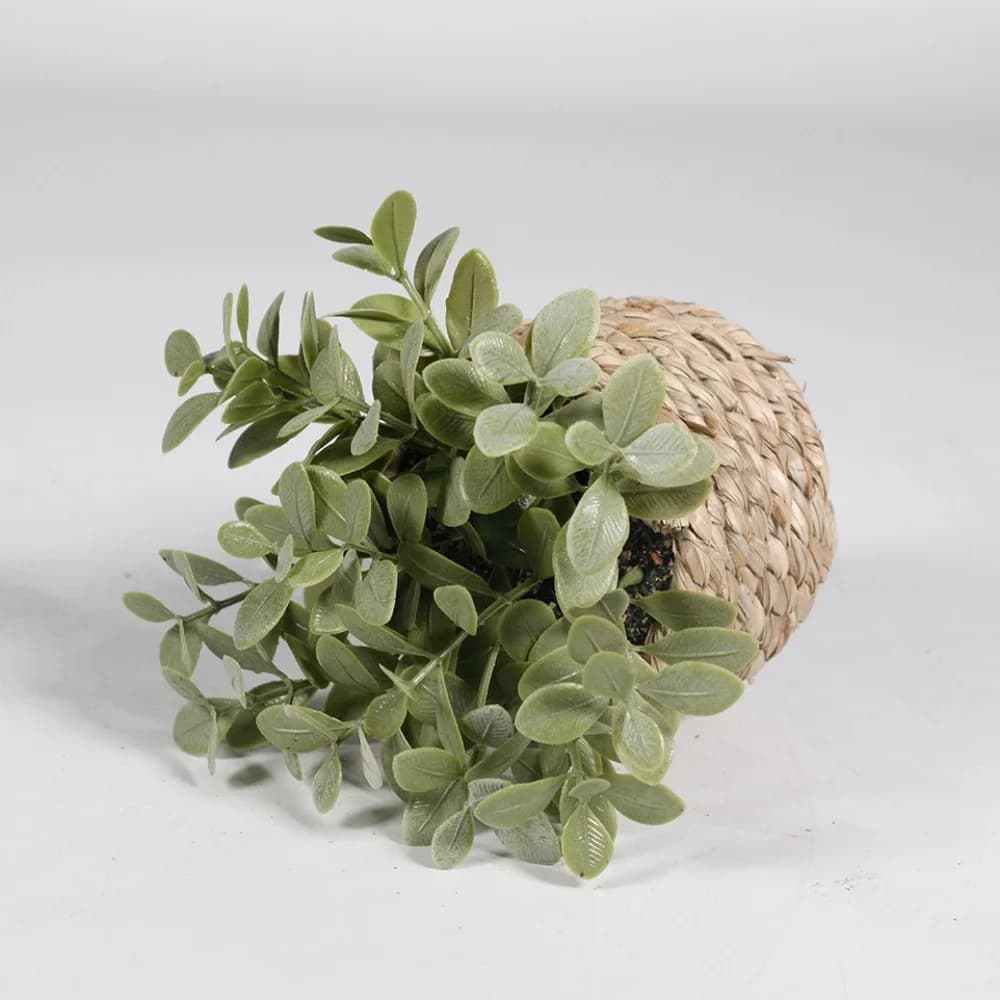 Plante artificielle verte en pot