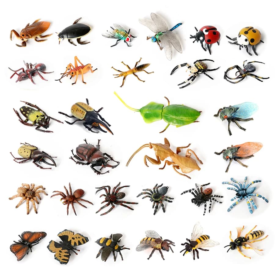 Figurines d'animaux d'insectes de Simulation, cigale, papillon, coccinelle, araignée, tarantule, Amoena, décorations, modèle de jouets, cadeau pour enfant