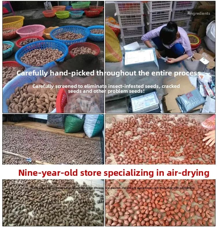 Noyau d'olive corde à main brut Luohan matériau Zhou Zhengyuan