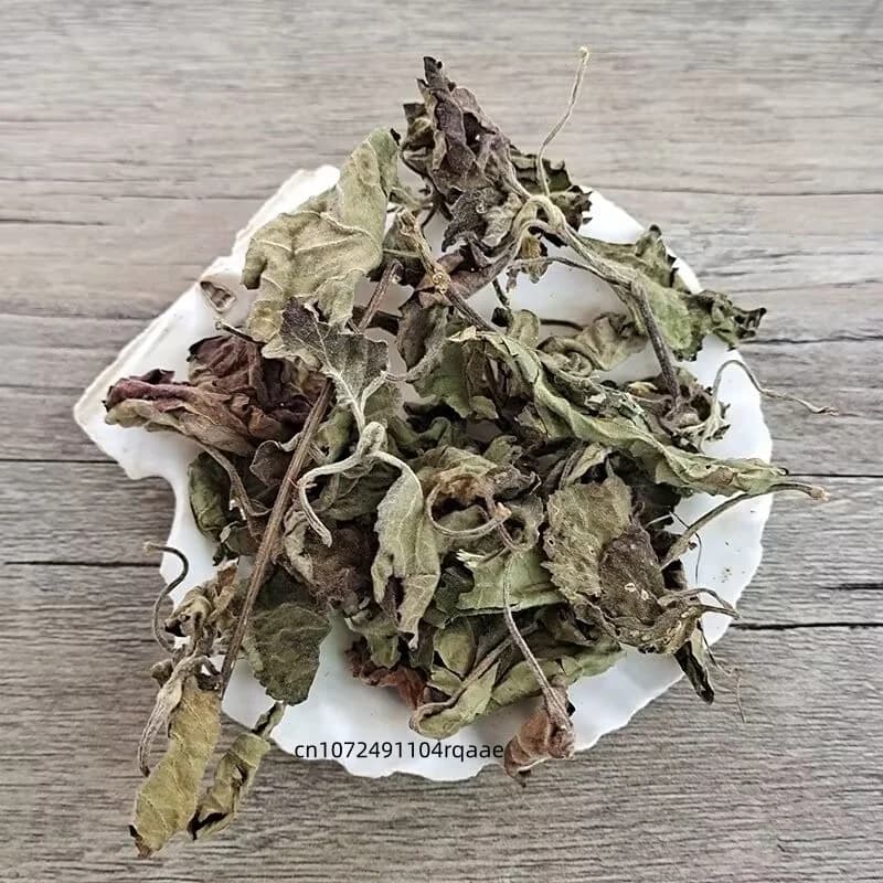 Feuilles de Pogostemon Cablin naturelles séchées (Patchouli/Perilla) pour la fabrication de savons, bougies, encens, parfums domestiques, sachets et garnitures de coussins