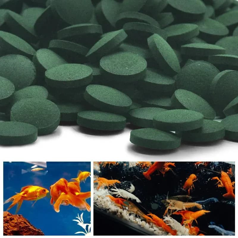 500-3000 pièces comprimés de spiruline de haute pureté spiruline sélénium riche nourriture pour poissons pour animaux de compagnie cristal rouge crevettes nourriture pour poissons aquarium spécial