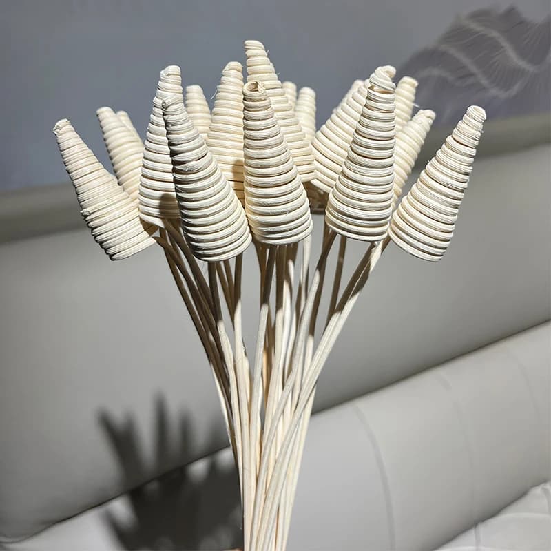 Bâtons d'aromathérapie en rotin bouclé, bâtons de diffuseur de roseau, parfum à la maison, huile volatile, accessoires les plus récents, 10 pièces, 25cm
