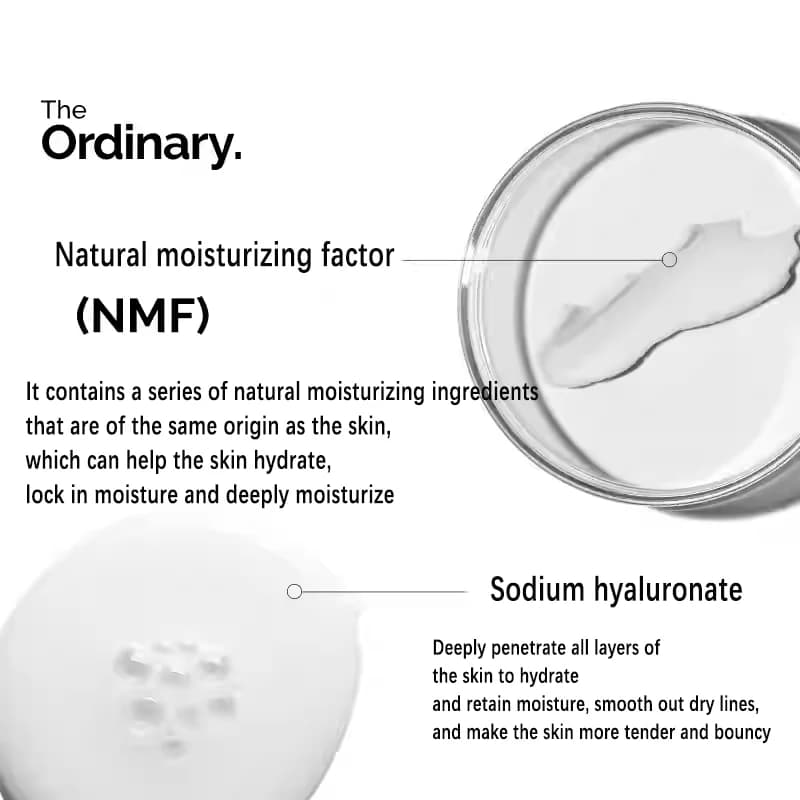 Facteurs hydratants naturels + Acide hyaluronique Crème hydratante quotidienne avec acides aminés et lipides dermiques pour une peau protégée et régénérée