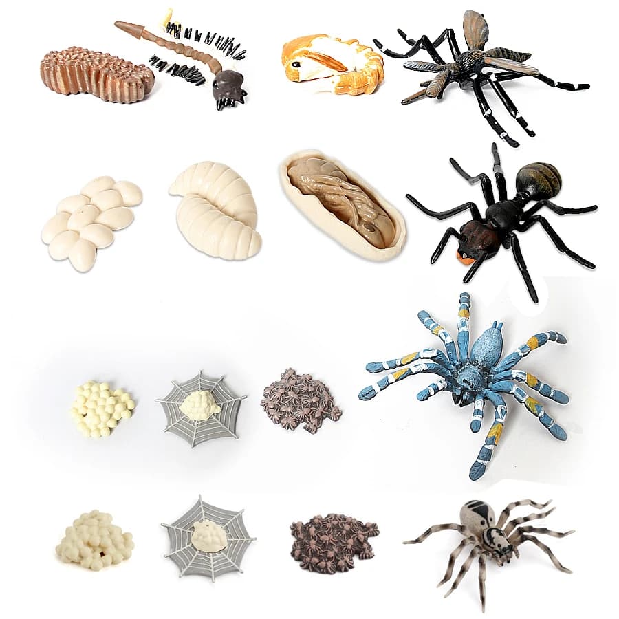 Figurines de créatures de la mer du cambodge en plastique, modèle Miniature, jouet, Figurines préhistoriques, Baculite, opabilia, Nautilus, Trilobita, Eurypterida