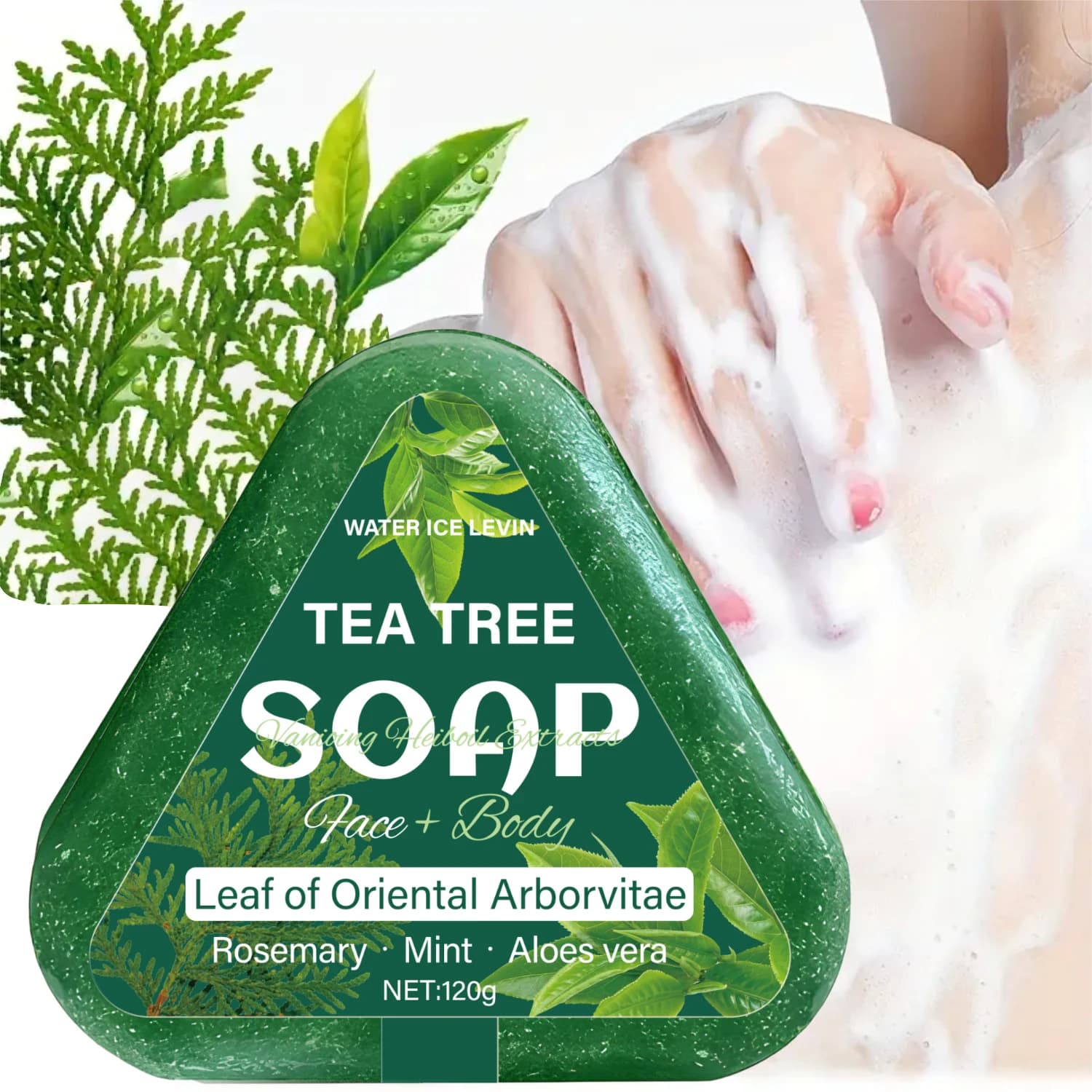 Savon à l'arbre à thé (visage + corps) : feuille d'arborvitae orientale, romarin/menthe/aloéle, hydrate en douceur tous les types de cheveux
