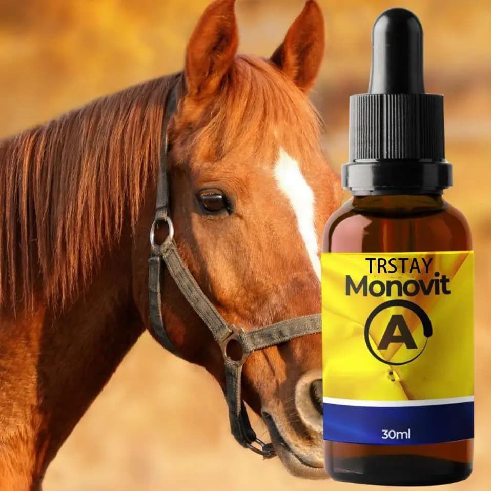 Huile essentielle pour la croissance des cheveux, huiles essentielles toniques au gingembre, composé d'huile essentielle pour soulager le Stress