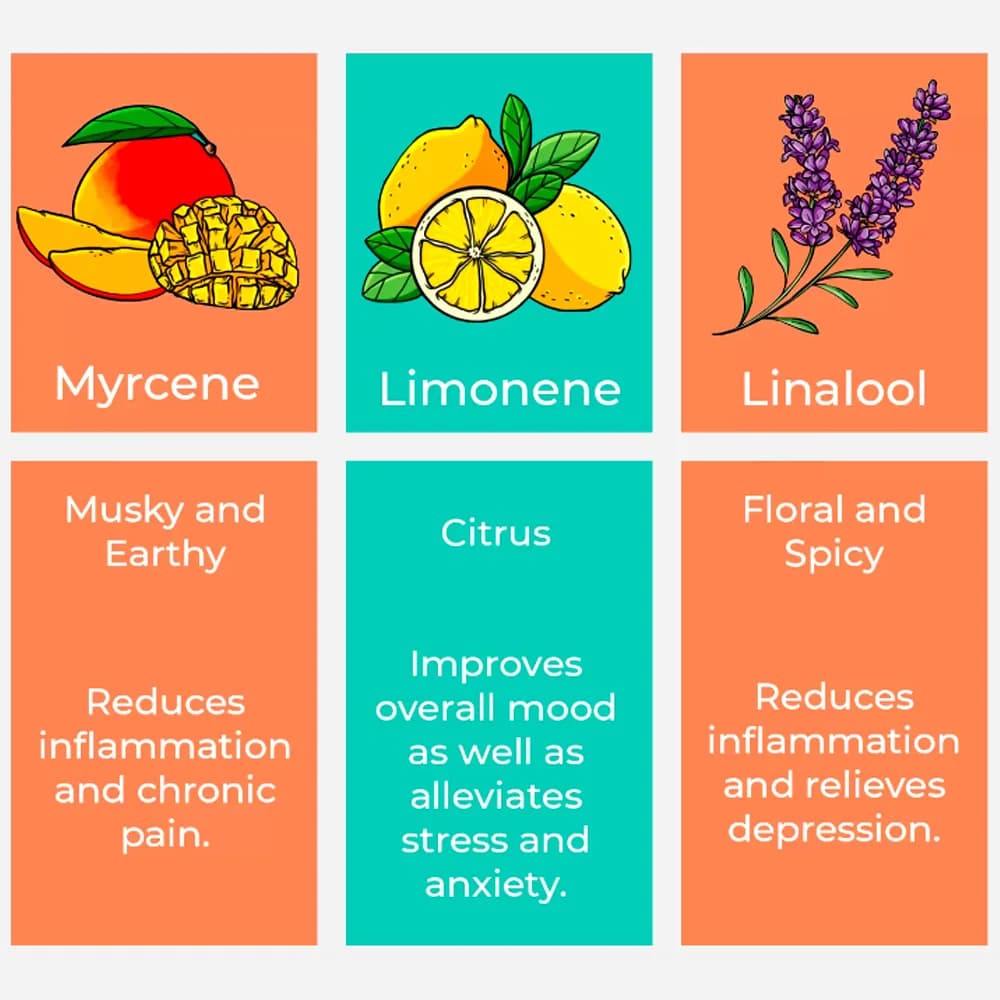 L'huile de terpenes pure de qualité alimentaire à extractions naturelles de 30ML, cosmétiques de bricolage ou d'autres saveurs de liquide pour un usage différent
