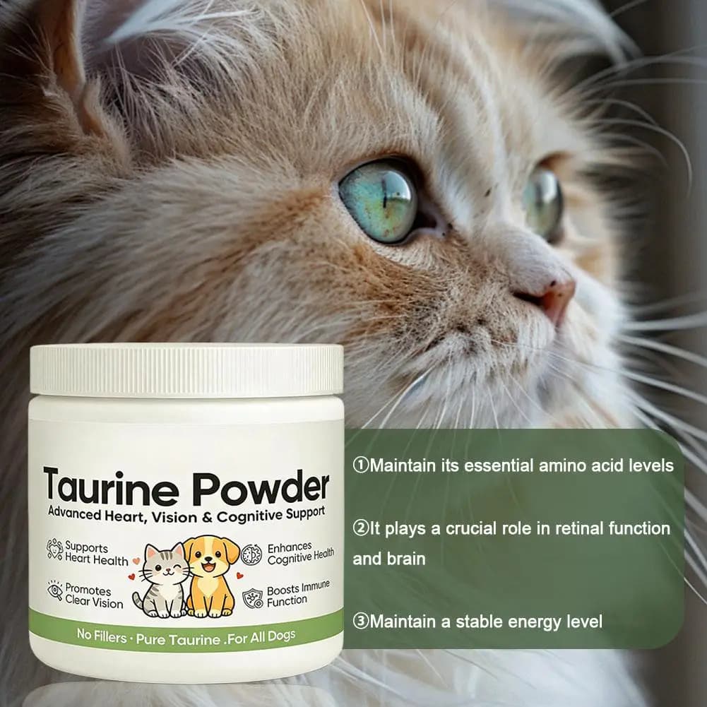 Poudre de supplément de taurine 30g pour chat et chien – Soutient la santé cardiaque, la vision et la cognition – Acide aminé essentiel – Complément nutritionnel pour animaux de compagnie