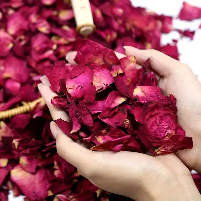 250g de pétales de rose frais naturels séchés pour le bain, fleurs sèches pour spa, blanchiment, aromathérapie, fournitures de bain, décoration de mariage