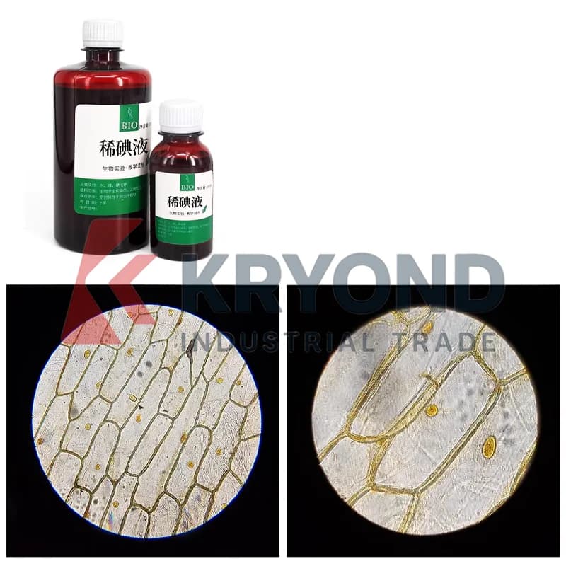 Solution d'iode dilue pour les expériences biologiques et les applications de coloration de l'épidermie d'oignon Produit original