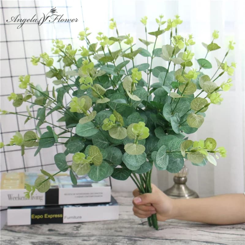 Feuilles d'eucalyptus vertes