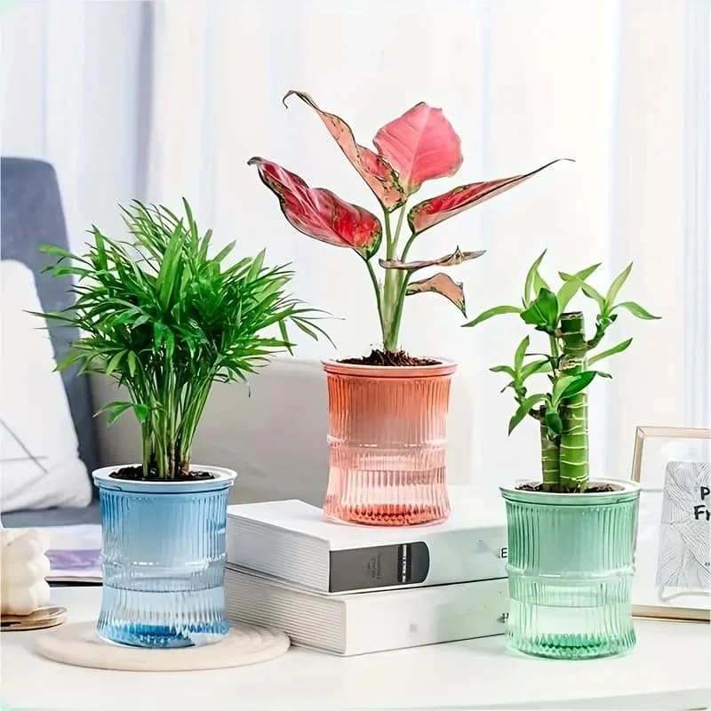 Pot de fleur hydroponique paresseux, Pot de fleurs automatique absorbant l'eau, Transparent, Double couche en plastique, jardinière auto-arrosage pour le bureau