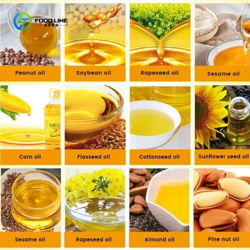 Presse à huile entièrement automatique pour une production efficace d'huile d'olive, de soja, de sésame et de noix, sur mesure
