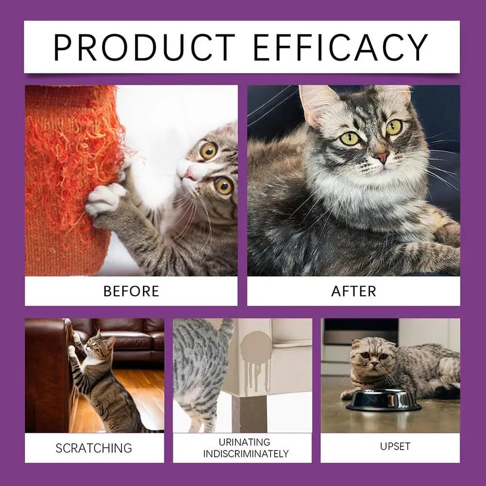 Spray apaisant félin Anti-Stress, 60ml, feromone, Spray apaisant émotionnel, acts naturels à base de plantes, Spray apaisant rapide pour chat