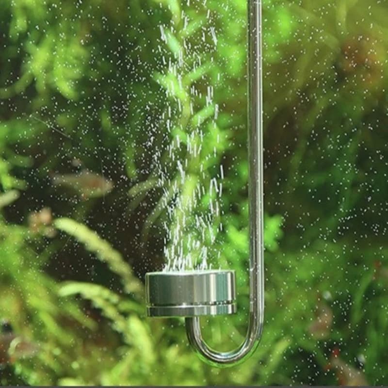 Diffuseur nébuliseur de CO2 pour Aquarium, en acier inoxydable, pour plantes aquatiques, générateur de Co2, accessoires d'équipement, diffuseur de CO2