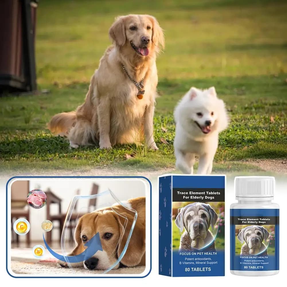 Complément minéral pour chiens seniors : Comprimés de calcium pour la protection osseuse