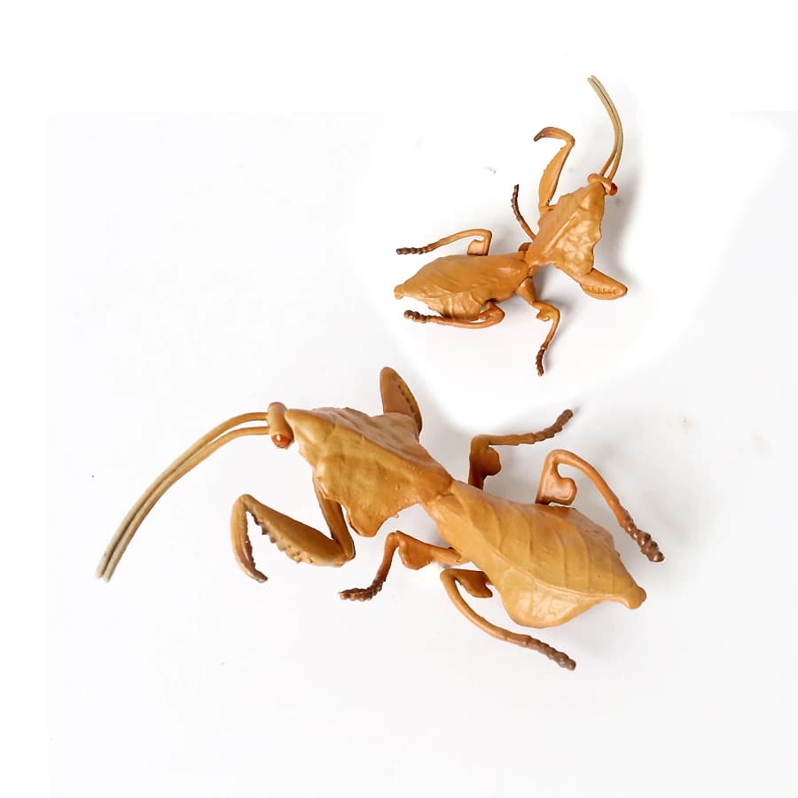 Figurines d'insectes en plastique réalistes avec cigale Cricket scarabée abeille fourmi araignée coccinelle insectes