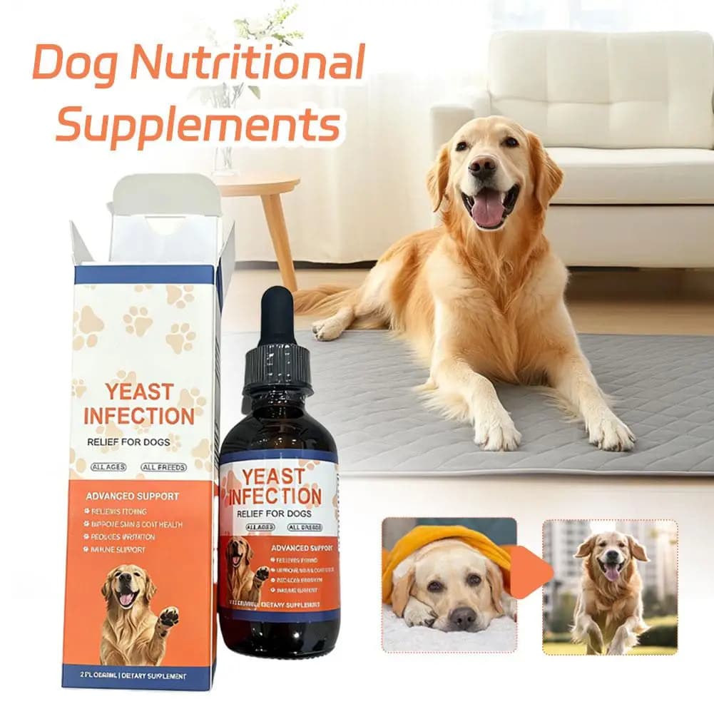 Gouttes de levure pour animaux de compagnie, 60ml, pour chiens et chats, soin doux, complément alimentaire, améliore l'absorption des nutriments, soulage les démangeaisons et l'inflammation
