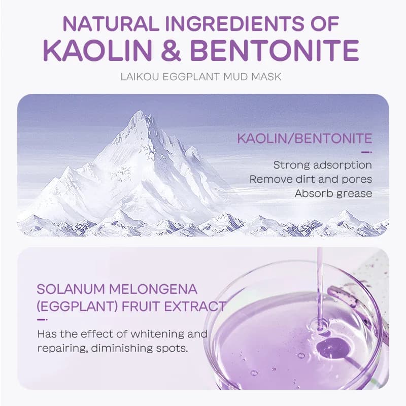 5 pièces LAIKOU masque de boue d'aubergine contrôle de l'huile hydratant Anti-acné Anti-rides blanchissant