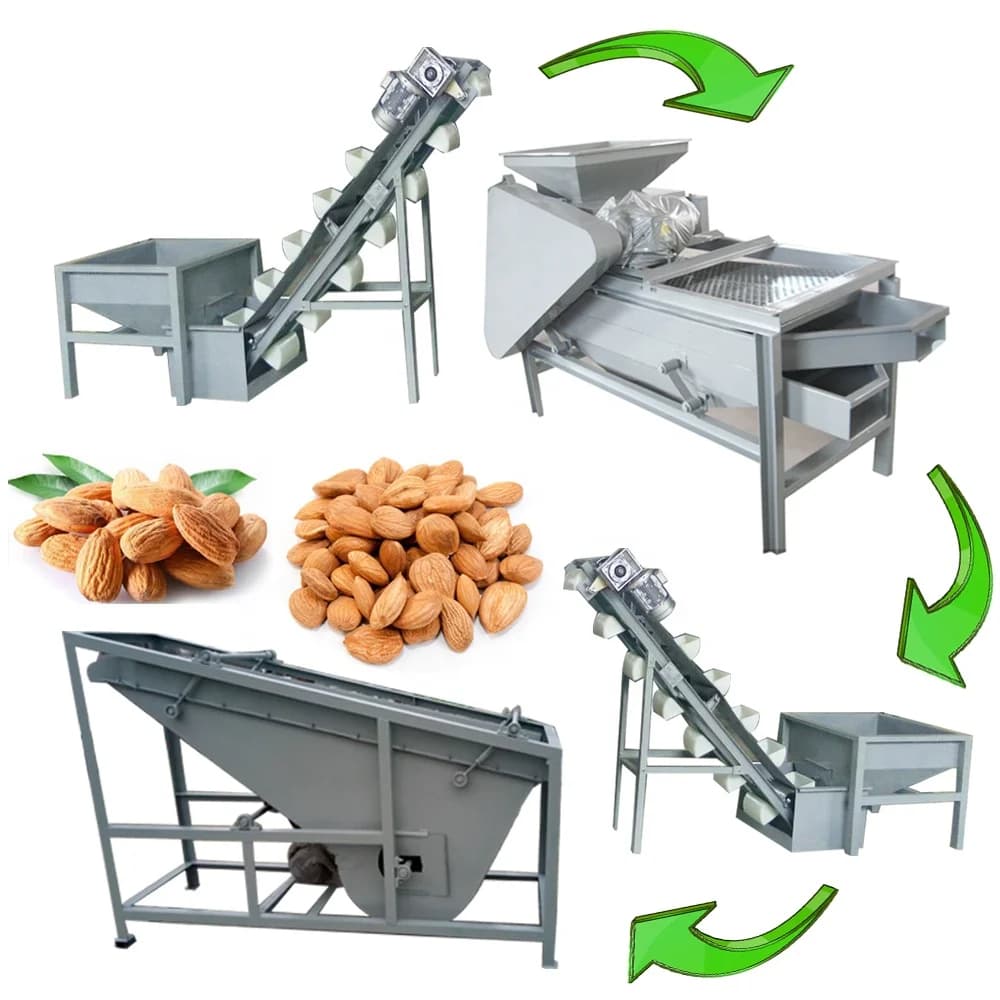Usine de traitement de noix d'amande à haute efficacité, ligne de production de rôtissage, usine de traitement de noix pour la vente en gros