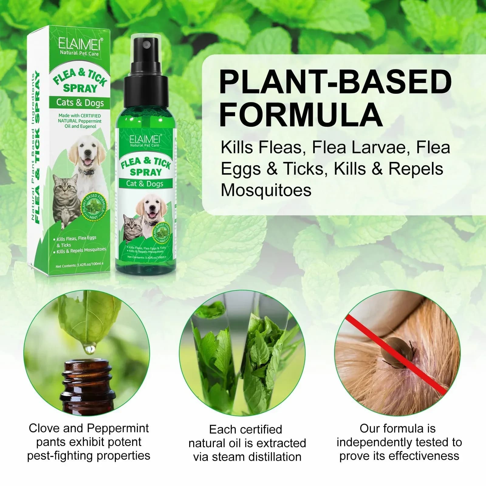 Spray toique naturel pour animaux de compagnie, 100ml, pour chiens et chats, avec parfum frais, huile de menthe poivrée et Eugenol
