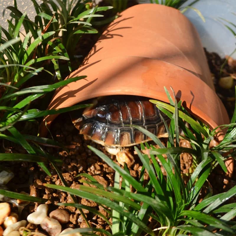 Abri de reptiles pour la diversification des carreaux de tortue Dodge, terrasse, escalade, colline, décoration d'aquarium en céramique, abri de crevettes de poisson, maison