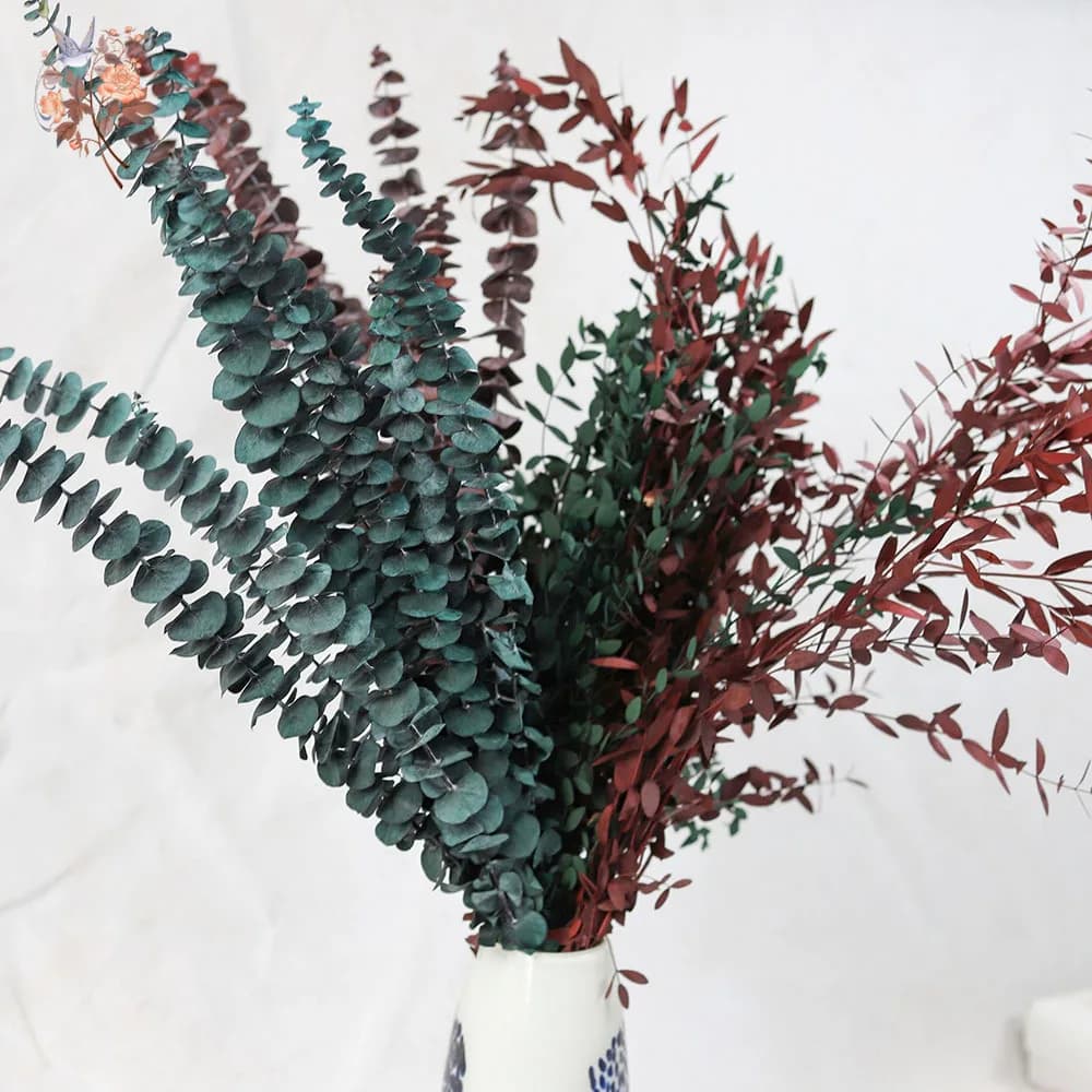 Feuille d'eucalyptus éternelle
