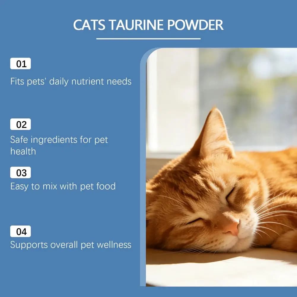 Acide aminé essentiel pour chats, supplément de taurine en poudre, soutient la santé immunitaire et la fonction cardiaque, soins de santé pour chats, 200g