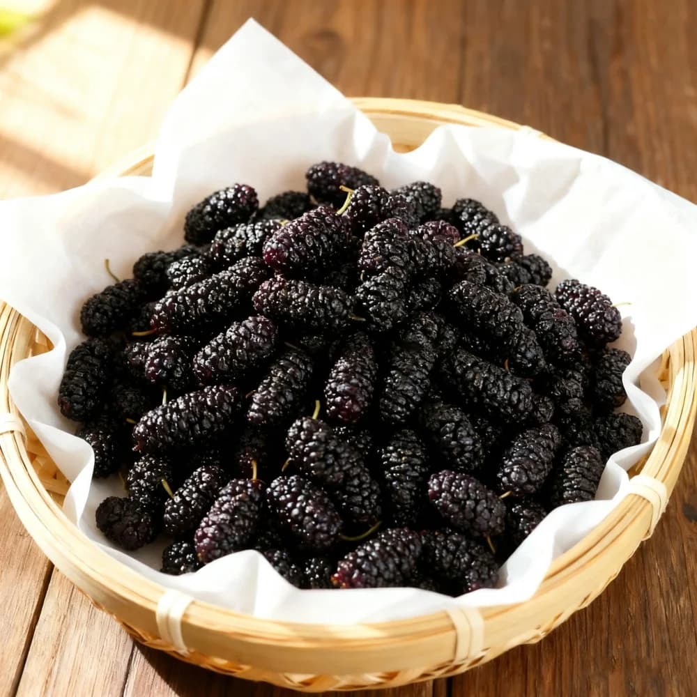 Fruits de mûres séchés naturels purs-matériaux artisanaux de qualité supérieure pour la décoration de mariage mélange