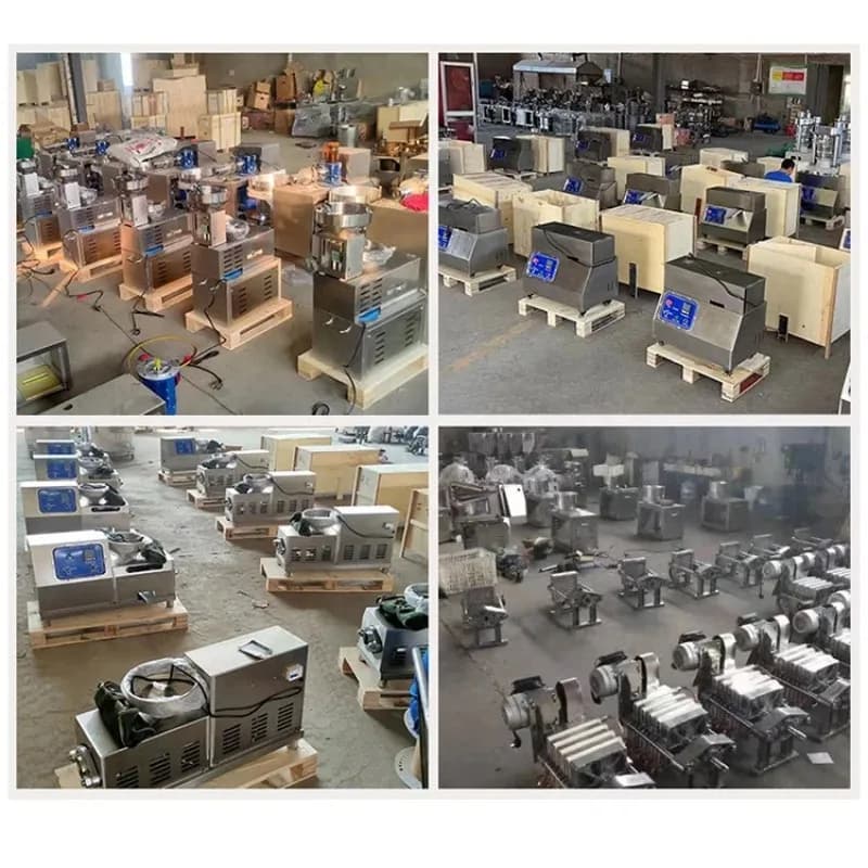 Presse à huile personnalisée pour tournesol, arachide, olive – Machine de pressage d'huile à vis automatique combinée pour petites entreprises