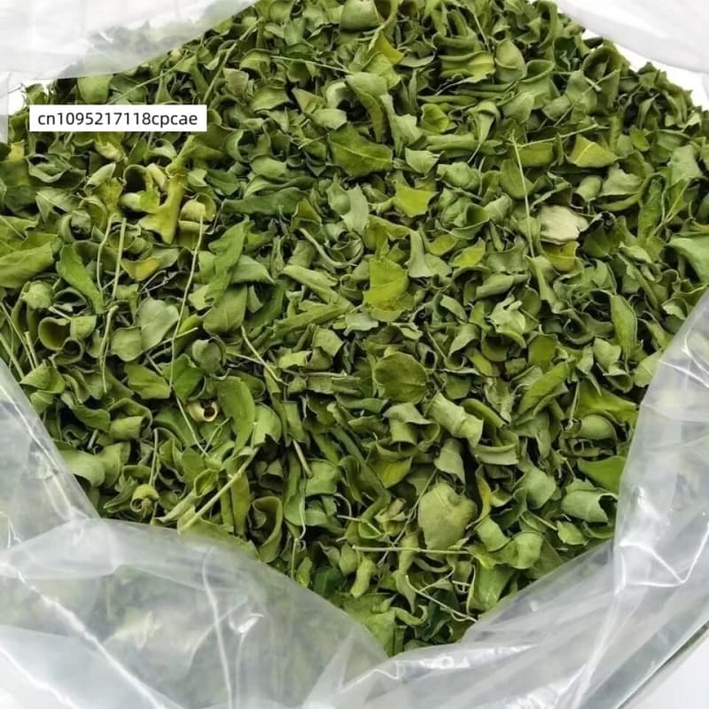 Feuilles de Moringa Oleifera séchées naturelles, feuilles de type « drumstick », matière végétale pure séchée pour pot-pourri, artisanat DIY, arôme, décoration intérieure