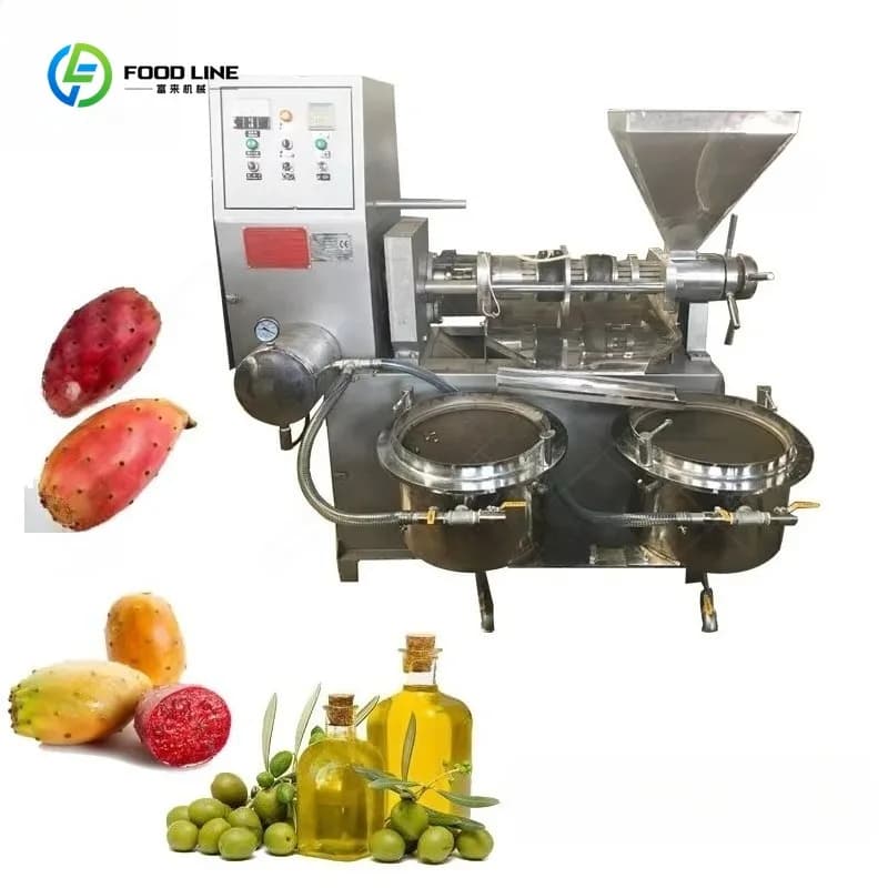 Presse à huile automatique personnalisée, équipement d'extraction d'huile à froid efficace pour Macadamia, pin et noix de cajou de sibérie