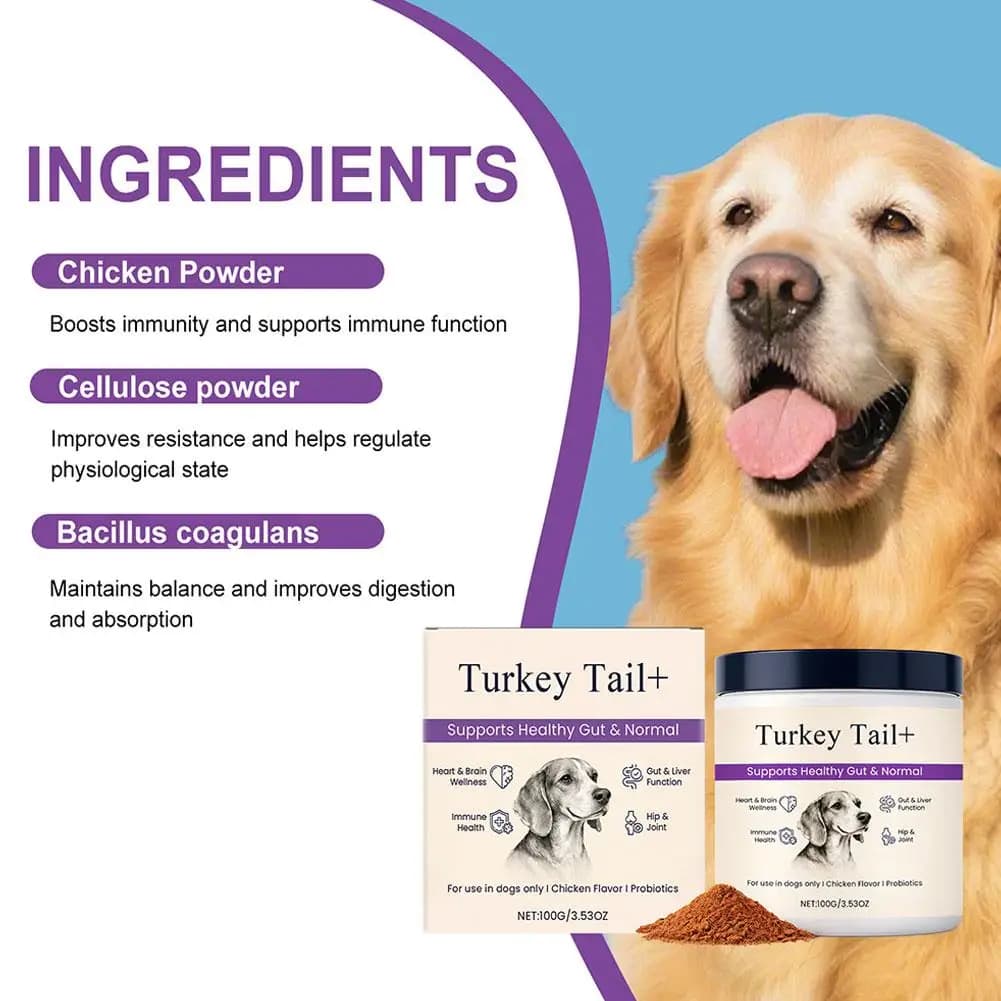 Poudre Probiotique Intestinale pour Chiens 100g Saveur Bacon Délicieuse Équilibre de la Flore
