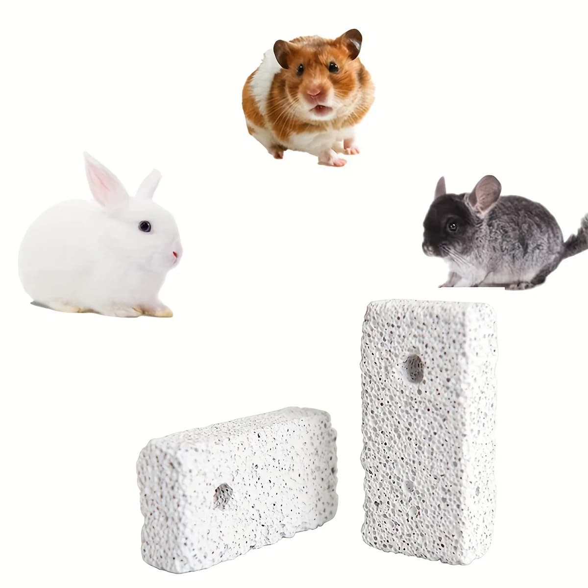 Naturel pour animaux de compagnie