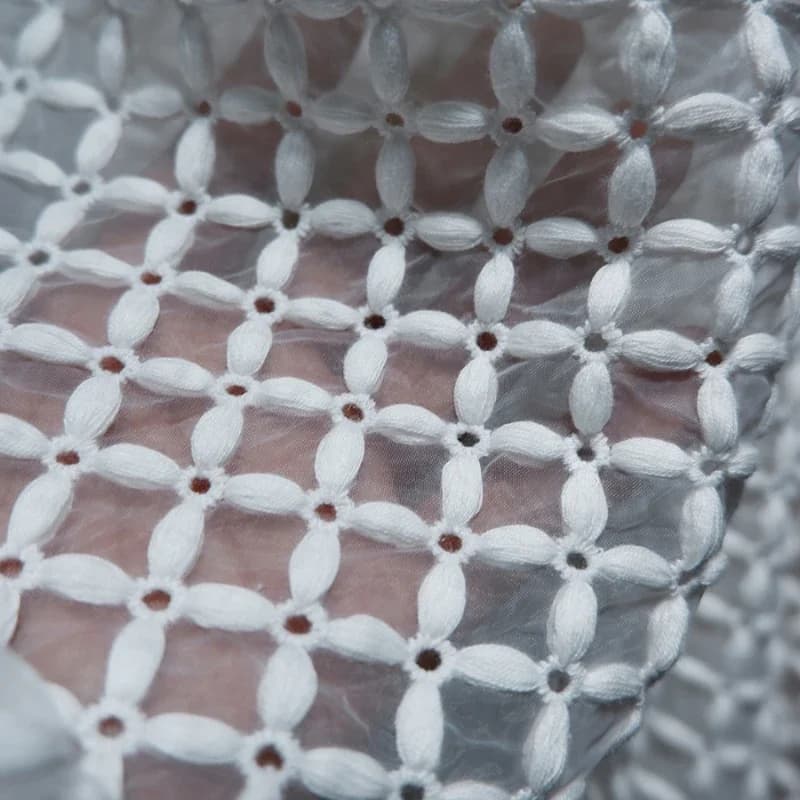 Organza Brodé Riz Grossier Mars