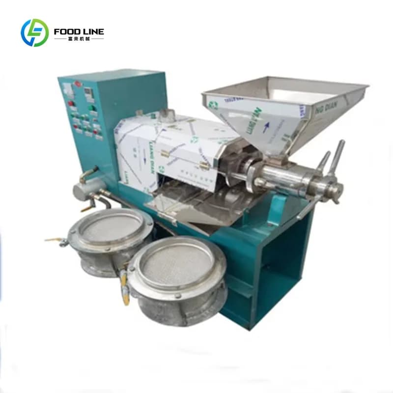Presse à huile industrielle personnalisée pour huiles végétales (arachide, noix de coco, olive), équipement de fabrication et d'extraction d'huile comestible à froid et à chaud