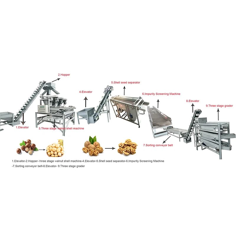 Usine de traitement de noix d'amande à haute efficacité, ligne de production de rôtissage, usine de traitement de noix pour la vente en gros