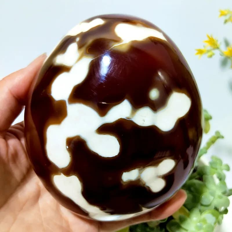 Pierres Naturelles Magnifiques Fleurs Agate Palm Herat
