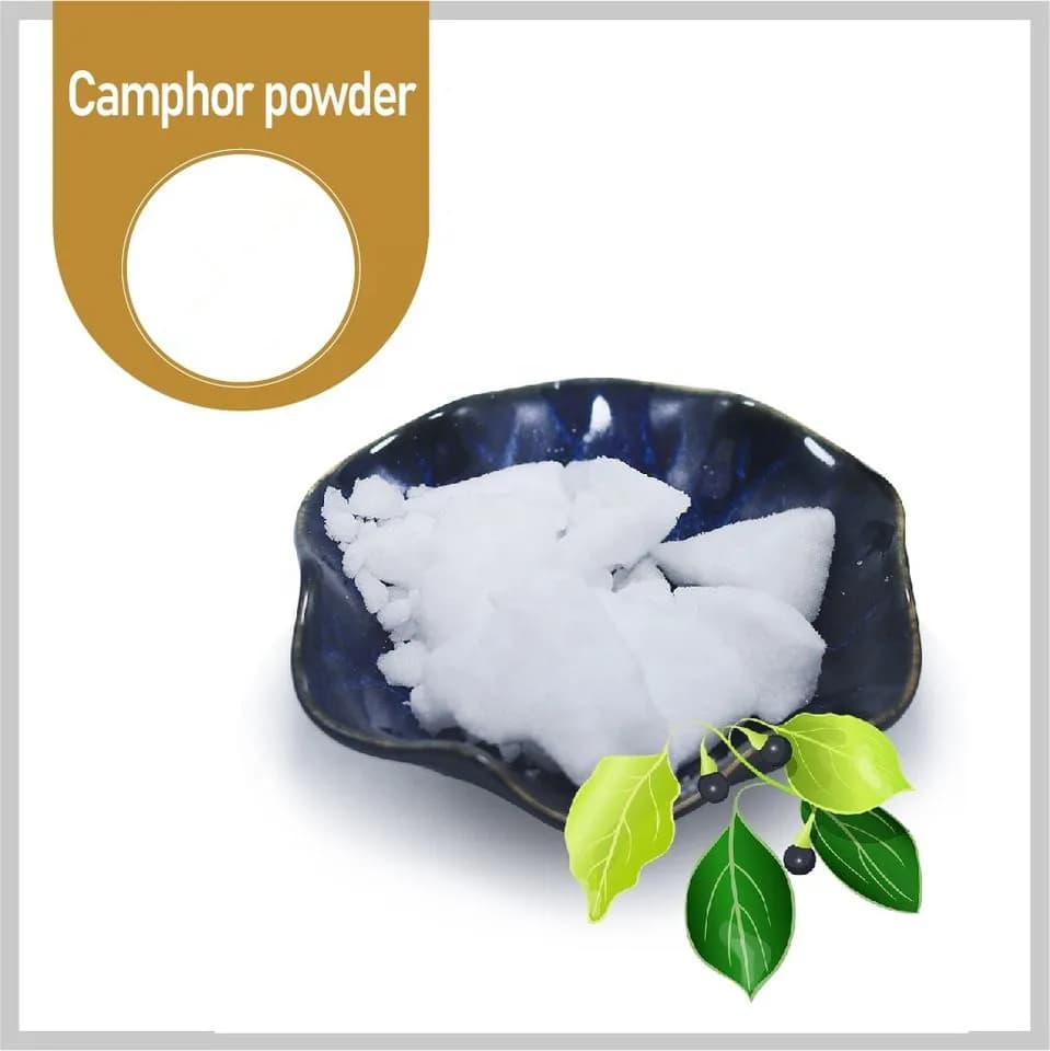 Poudre de camphre naturelle, médecine traditionnelle chinoise, utilisée pour les moisissures, les mites, les insectes verts et Brindisi